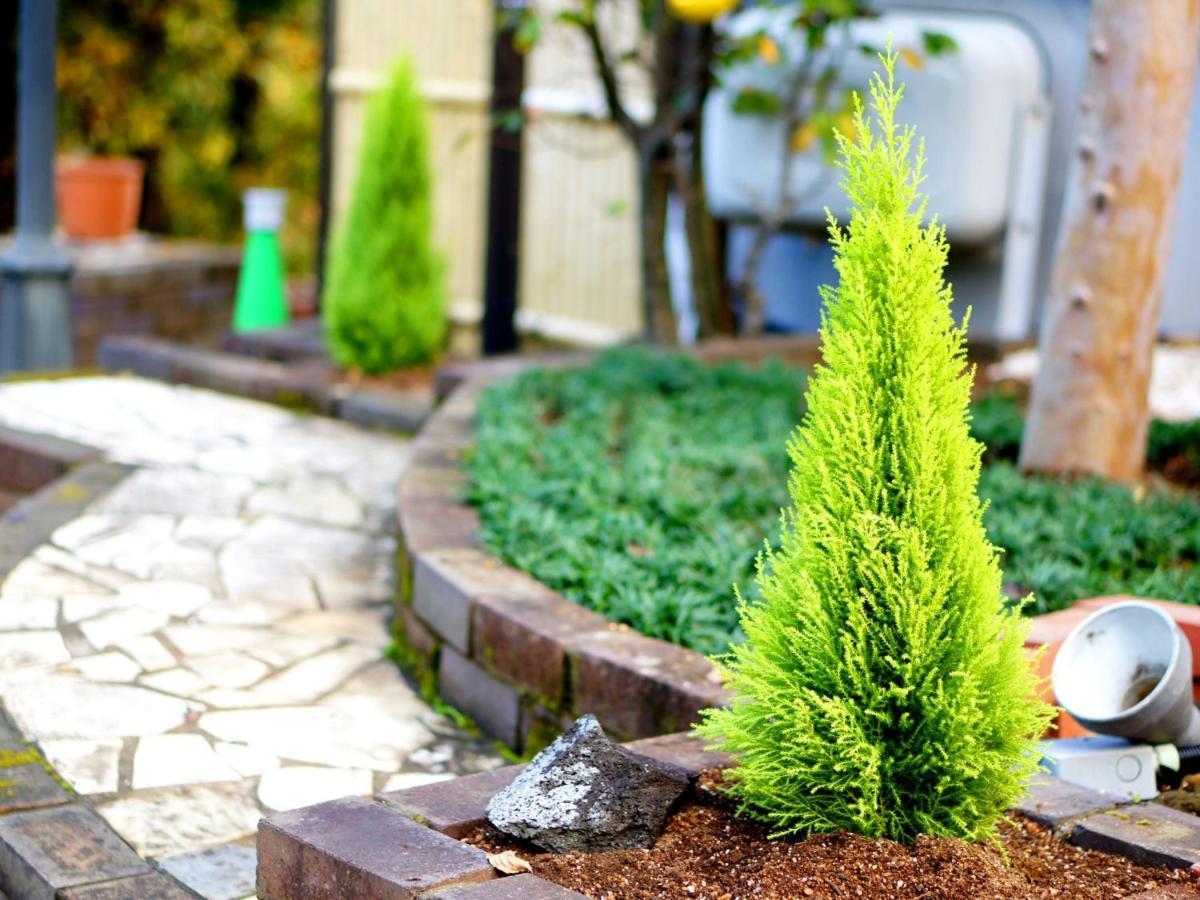 We Home Villa - Jogasaki Onsen - - Vacation Stay 19345V إيتو المظهر الخارجي الصورة
